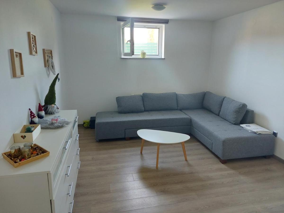 Spring Apt With Garden And Free Secure Parking Apartment Domžale Екстериор снимка